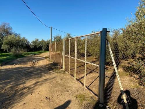 imagen 6 de Venta de finca rústica con Olivos en Sanlúcar la Mayor (Sevilla)