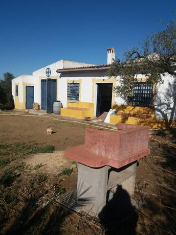 imagen 1 de Venta de finca con vivienda rodeada de frutales en Sanlúcar la Mayor