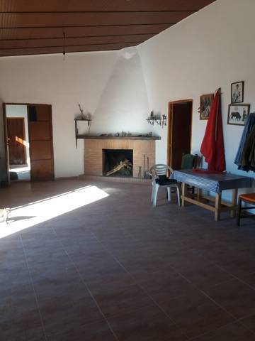 imagen 1 de Venta de finca con vivienda rodeada de frutales en Sanlúcar la Mayor