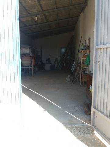 imagen 2 de Venta de finca con vivienda rodeada de frutales en Sanlúcar la Mayor