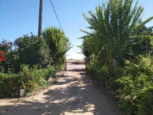 imagen 1 de Venta de parcela de naranjos con casa