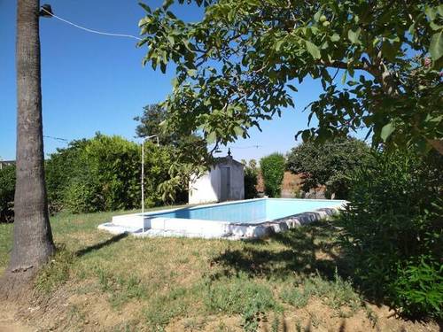 imagen 4 de Venta de parcela de naranjos con casa