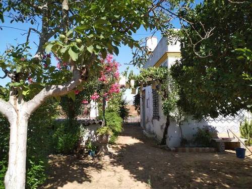 imagen 2 de Venta de parcela de naranjos con casa