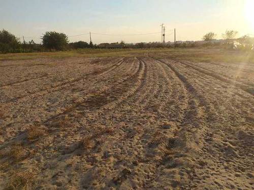 imagen 1 de Venta de finca rústica con luz y riego en Sevilla