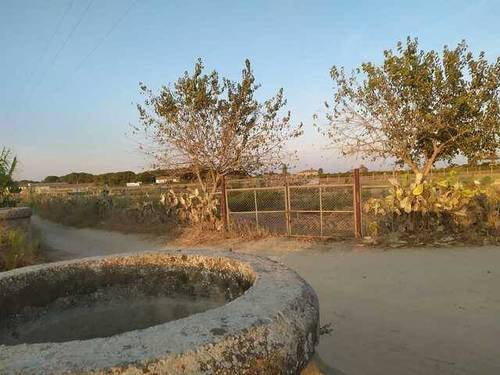 imagen 1 de Venta de finca rústica con luz y riego en Sevilla