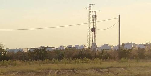 imagen 2 de Venta de finca rústica con luz y riego en Sevilla