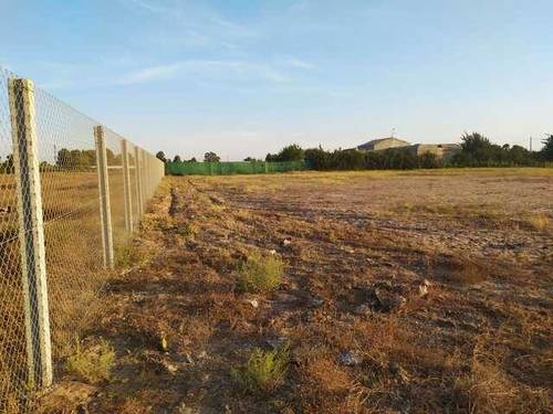 imagen 3 de Venta de finca rústica con luz y riego en Sevilla