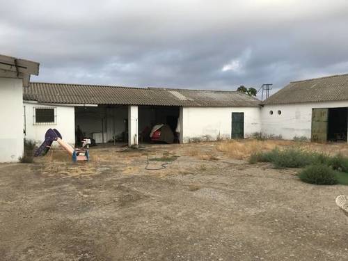 imagen 4 de Venta de finca con vivienda y naves ganaderas