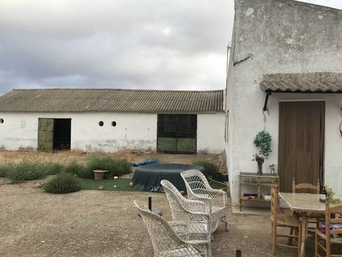 imagen 5 de Venta de finca con vivienda y naves ganaderas