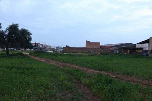 imagen 2 de Venta de finca ideal para caballos