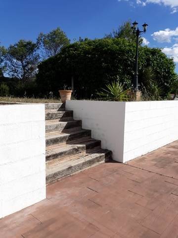 imagen 1 de Venta de bonita finca con vivienda en la Sierra -norte de Sevilla