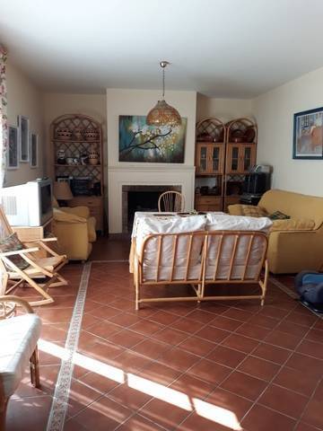 imagen 4 de Venta de bonita finca con vivienda en la Sierra -norte de Sevilla