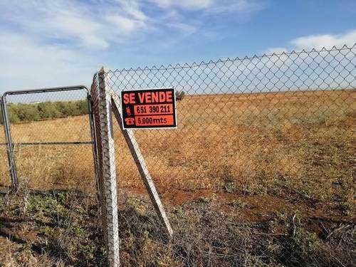 imagen 1 de Venta de parcela rústica vallada