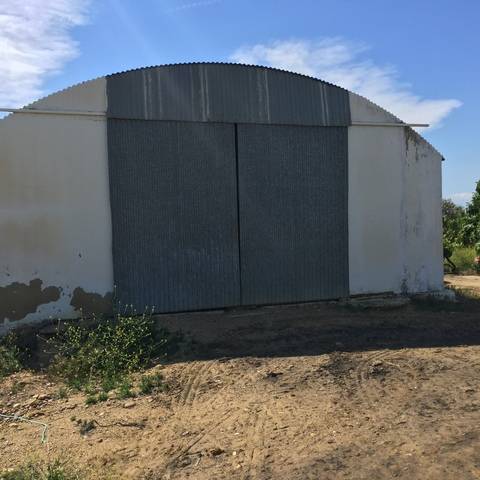 imagen 3 de Venta de finca de naranjos en Lora del Río