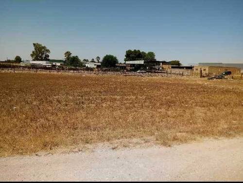 imagen 2 de Venta de finca ideal para ganadería en Utrera (Sevilla)