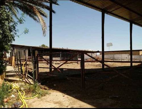 imagen 4 de Venta de finca ideal para ganadería en Utrera (Sevilla)