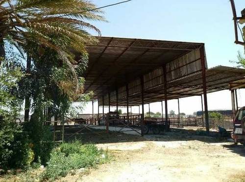 imagen 5 de Venta de finca ideal para ganadería en Utrera (Sevilla)