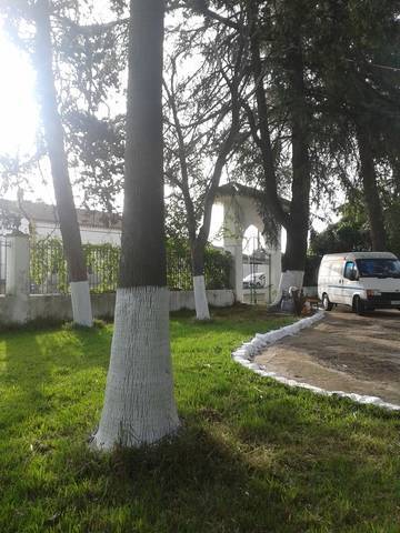 imagen 7 de Venta de finca con cortijo en El Castillo de las Guardas