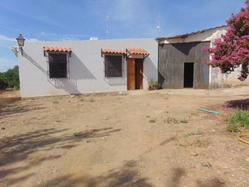 imagen 1 de Venta de finca con vivienda y plantaciones de naranjos en Sevilla