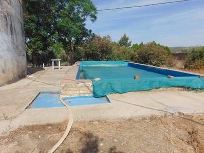 imagen 3 de Venta de finca con vivienda y plantaciones de naranjos en Sevilla