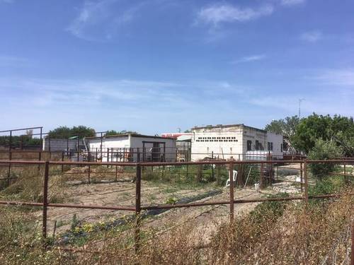 imagen 1 de Venta de finca con cuadras para caballos en Lebrija