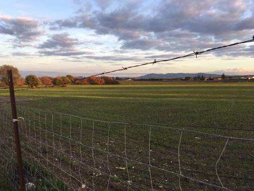 imagen 1 de Venta de finca con cuadras para caballos en Lebrija