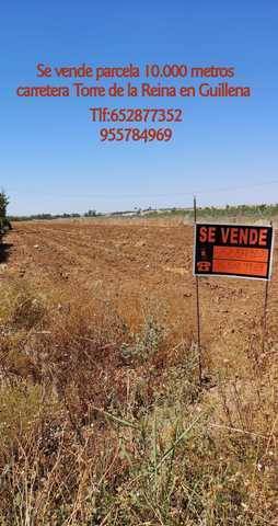 imagen 1 de Venta de terreno rústico en Guillena (Sevilla)