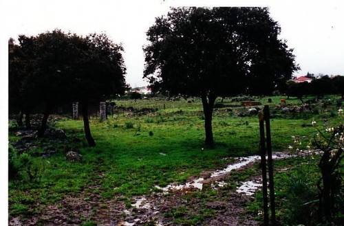 imagen 1 de Venta de bonita finca con cortijo en Castilblanco de los Arroyos