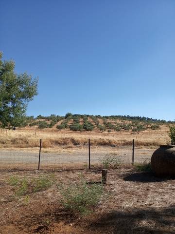 imagen 1 de Venta de finca con 4 casas en Cazalla de la Sierra