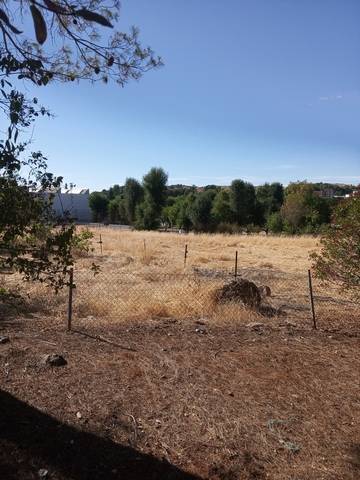 imagen 2 de Venta de finca con 4 casas en Cazalla de la Sierra