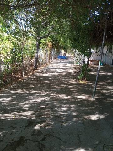 imagen 5 de Venta de finca con 4 casas en Cazalla de la Sierra