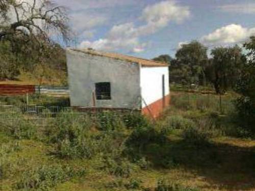 imagen 2 de Venta de finca para porcino en Castilblanco de los Arroyos