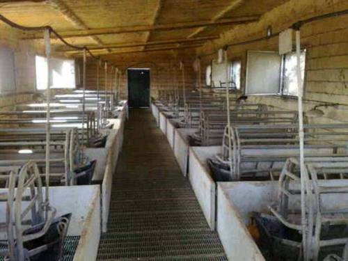imagen 3 de Venta de finca para porcino en Castilblanco de los Arroyos