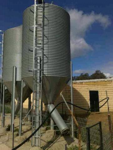 imagen 5 de Venta de finca para porcino en Castilblanco de los Arroyos