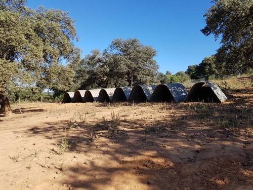 imagen 1 de Venta de finca para porcino en Castilblanco de los Arroyos