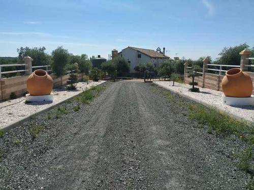 imagen 3 de Venta de finca con vivienda y boxes para caballos en Sevilla