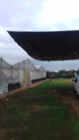 imagen 3 de Venta de finca con nave, vivienda e invernadero en Los Palacios