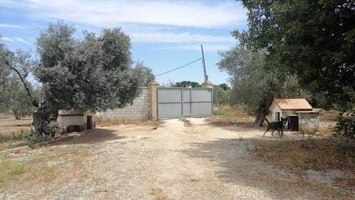 imagen 5 de Venta de vivienda con amplio terreno