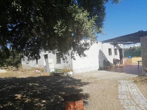 imagen 2 de Venta de vivienda con amplio terreno