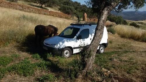 imagen 2 de Venta de finca con refugio en la sierra (Sevilla)