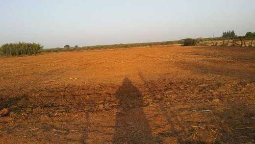 imagen 1 de Venta de parcela vallada en Bollullos