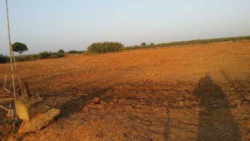 imagen 2 de Venta de parcela vallada en Bollullos