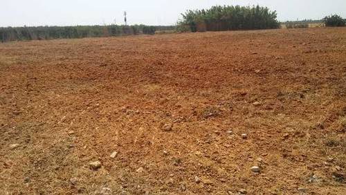 imagen 3 de Venta de parcela vallada en Bollullos