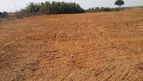 imagen 4 de Venta de parcela vallada en Bollullos