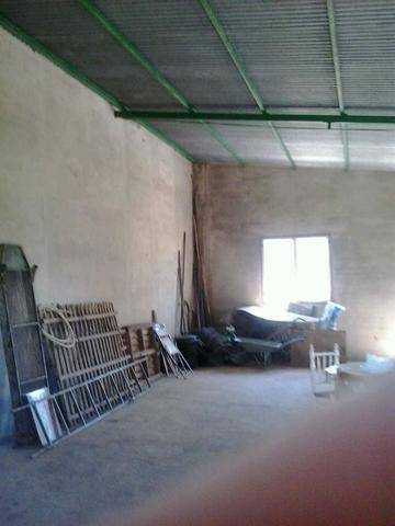 imagen 4 de Venta de finca de olivos con dos naves