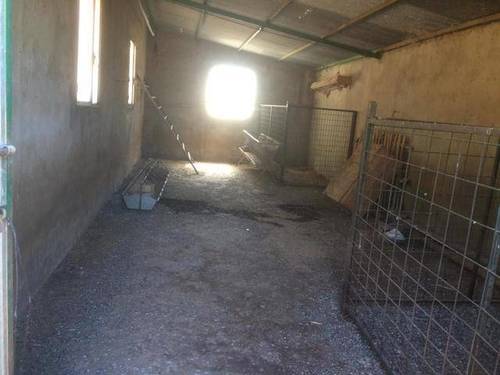 imagen 5 de Venta de finca de olivos con dos naves