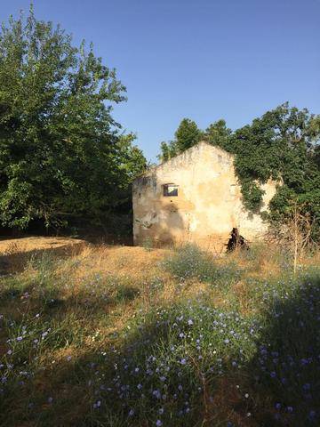 imagen 1 de Venta de parcela con antiguo molino para reformar en Sevilla