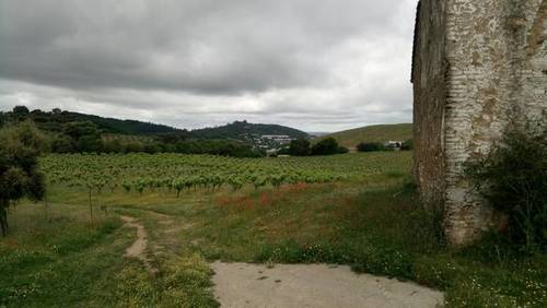 imagen 1 de Venta de bonita finca con bodega y cortijo en Cazalla de la sierra