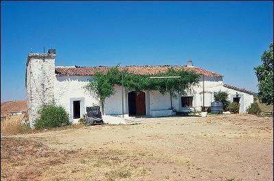 imagen 1 de Venta de bonita finca con bodega y cortijo en Cazalla de la sierra