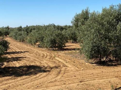 imagen 1 de Venta de finca con naves y vivienda Utrera